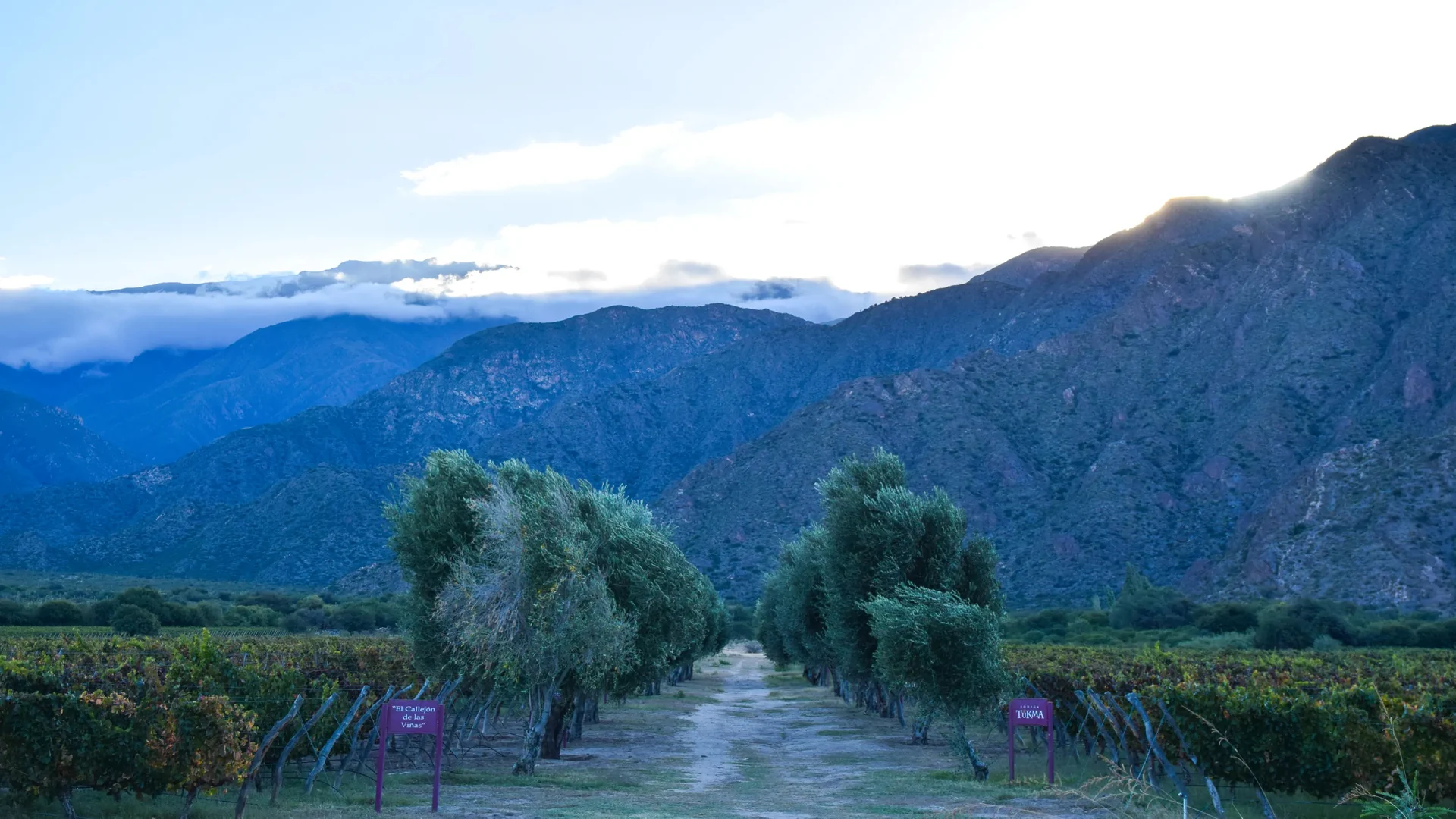 Bodegas que se abren al mundo
